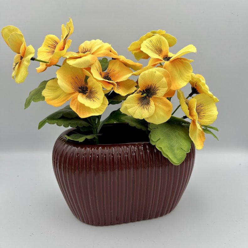 Pottskjuler i flot bordeaux