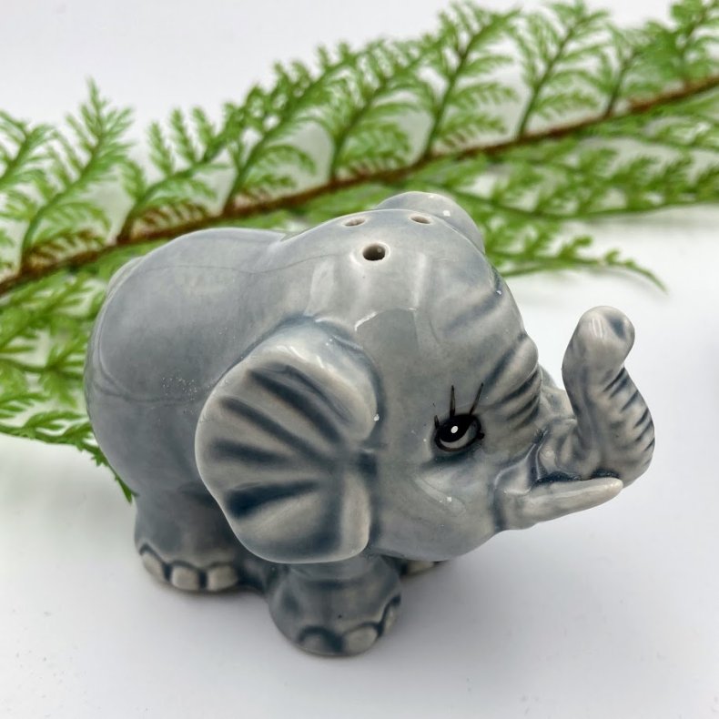 Elefant salt og pebers�t