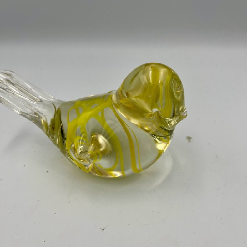 Glasfugle